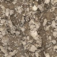 seamless soil 0025